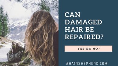Can Damaged Hair Be Repaired