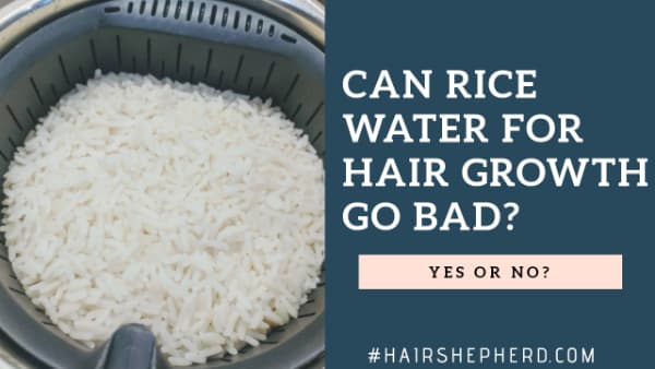 How often should you use rice water on your hair Can Fermented Rice Water Go Bad Honest Reviews Pros Cons