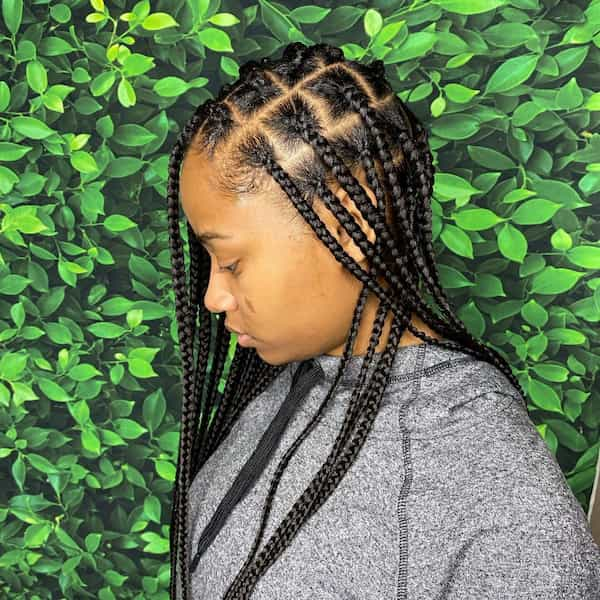 African Box Braid Hairstyle