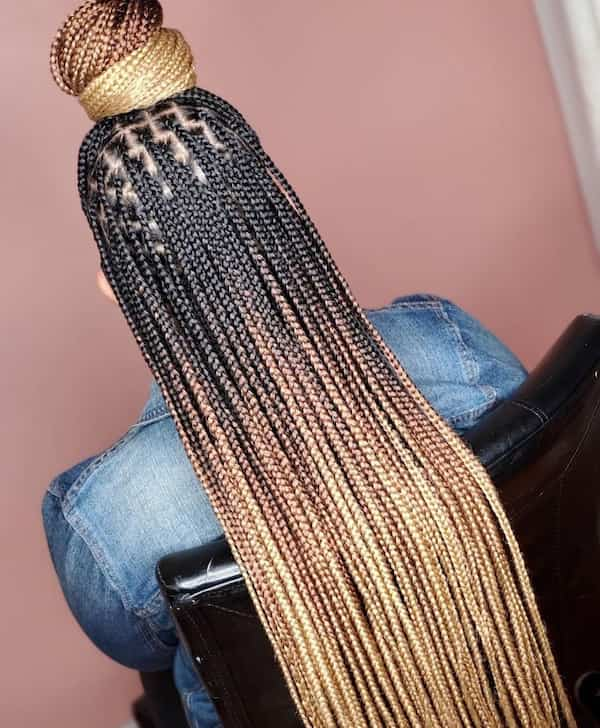 Ombre Long Box Braid