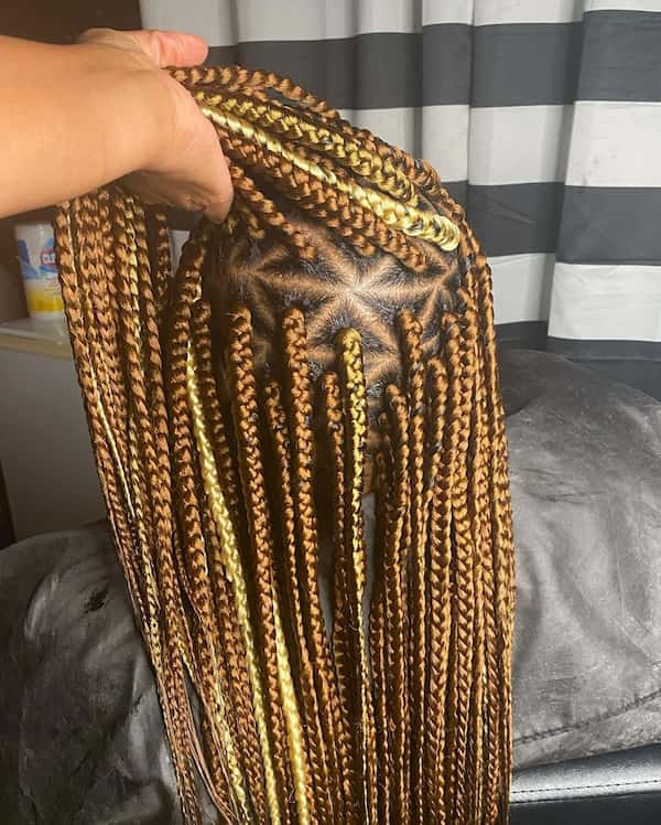 Triangle Box Braid