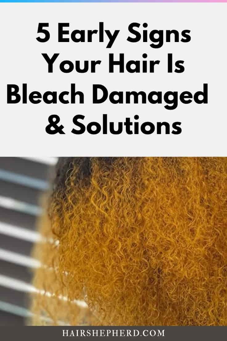 Bleach Damaged Hair Signs and Solution