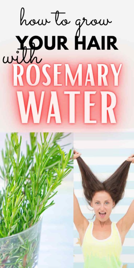 Rosemary Water For Hair Growth Pros Cons And Recipe 1960