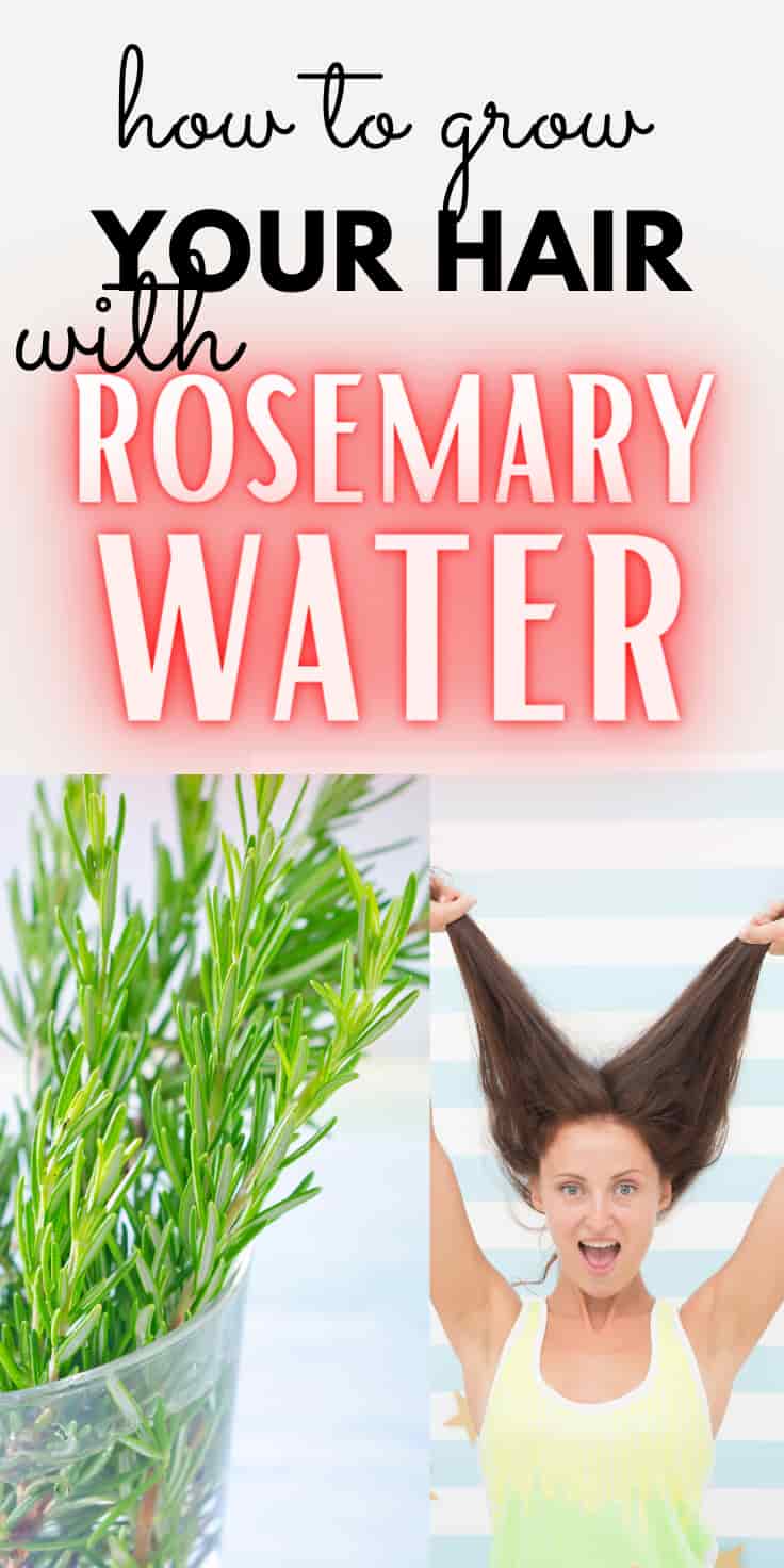 Rosemary Water for Hair Growth; Pros, Cons & Recipe