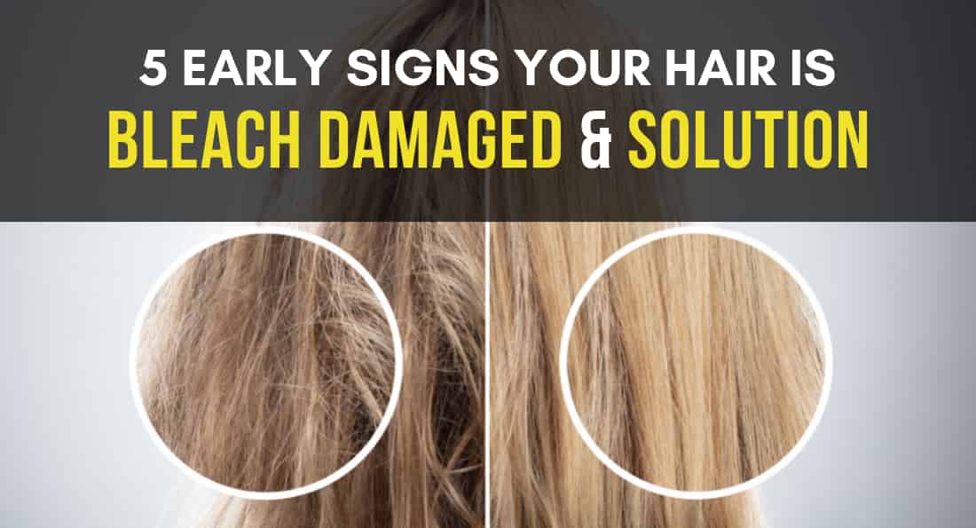 Can you repair bleach damaged hair  Quora