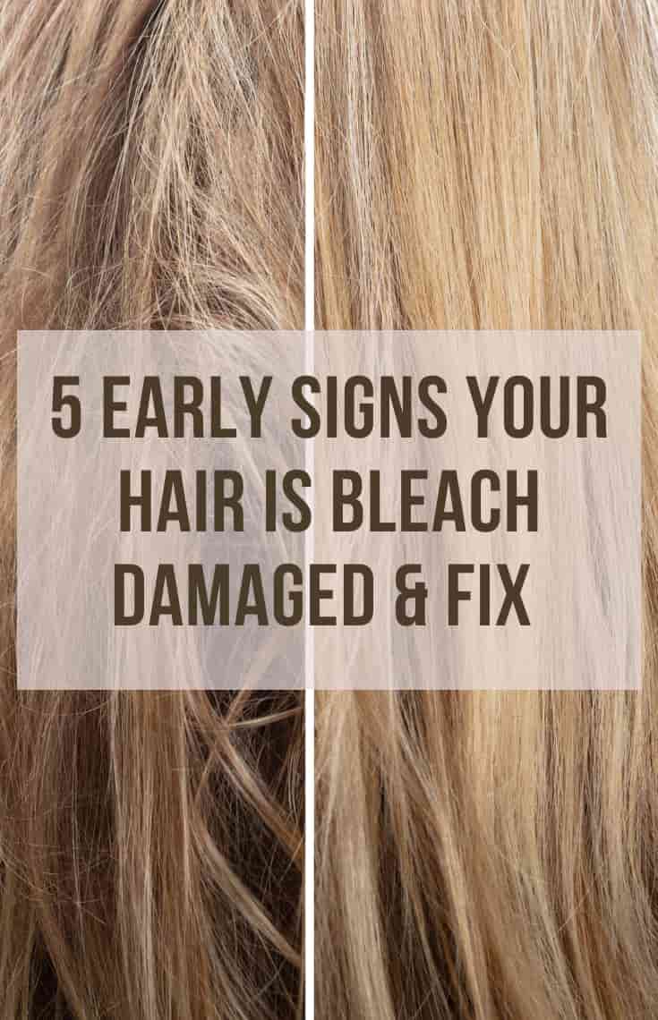 signs Your hair is bleach damaged