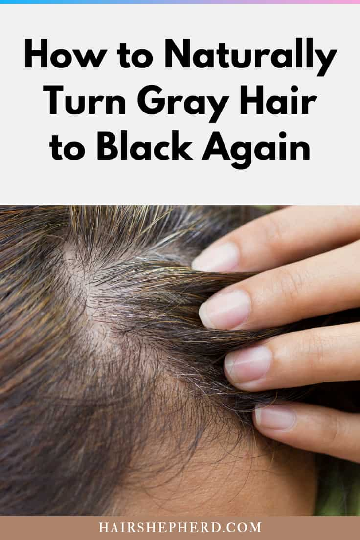 How to Turn Grey or White Hair Black Naturally 16 Remedies  Bellatory