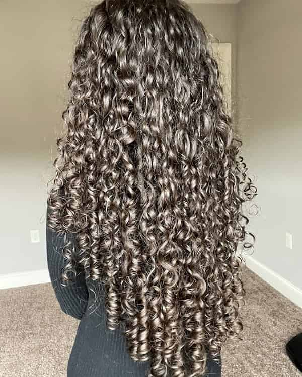 Extra Long Gray Curly Hair