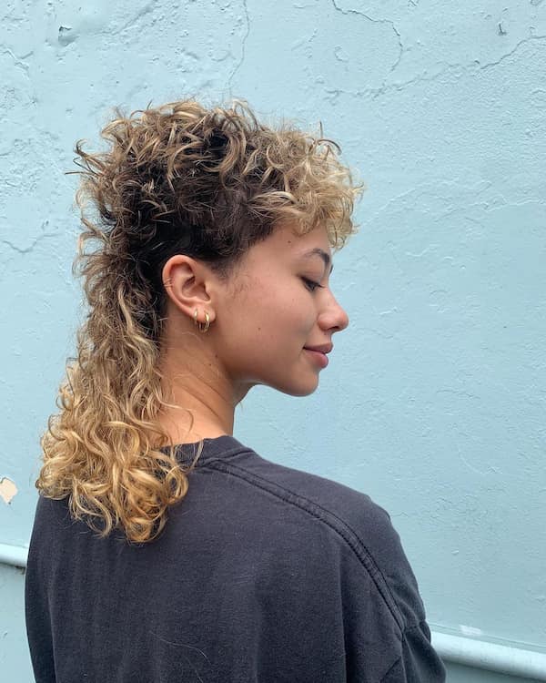 Curly Hair with Mullet