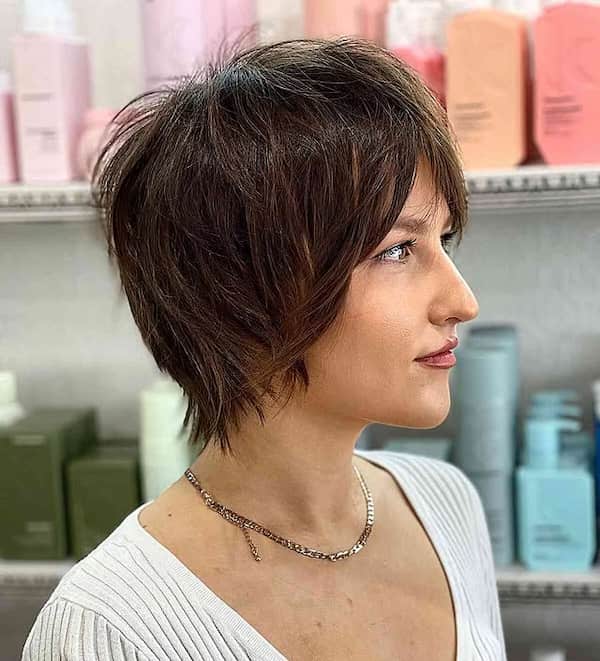 Shaggy Pixie Bob