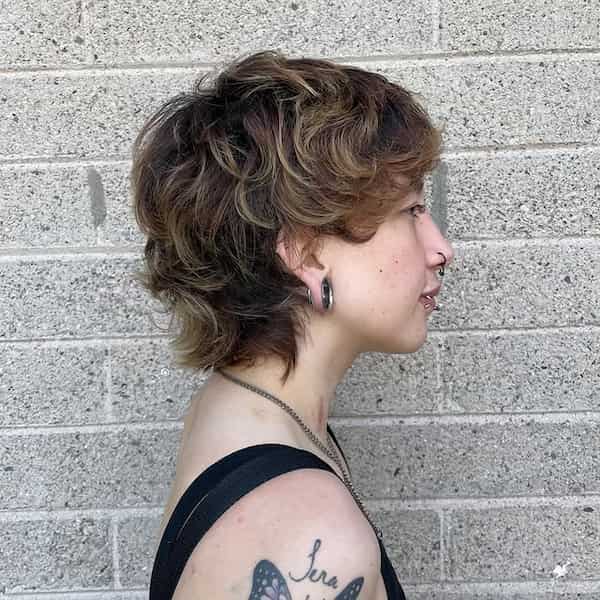 Wavy Pixie Bob